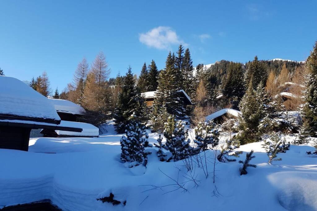 Chalet Wulli In Der Naehe Der Skianlagen סבונין מראה חיצוני תמונה