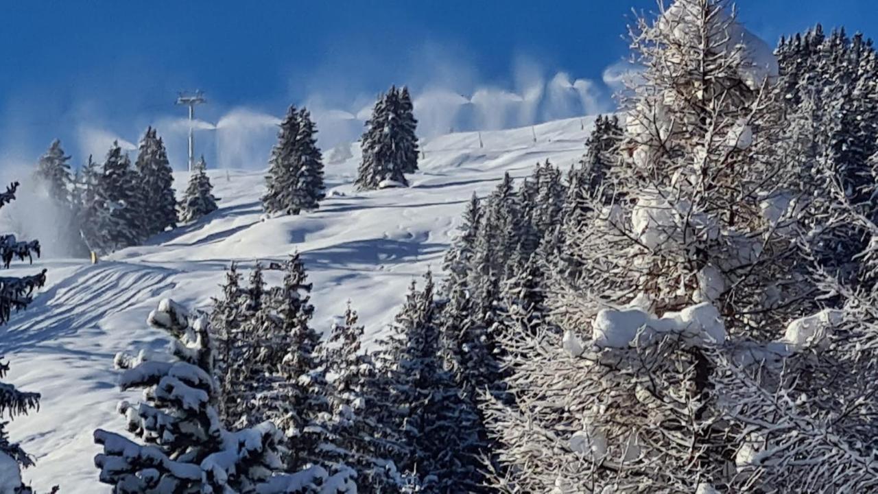 Chalet Wulli In Der Naehe Der Skianlagen סבונין מראה חיצוני תמונה